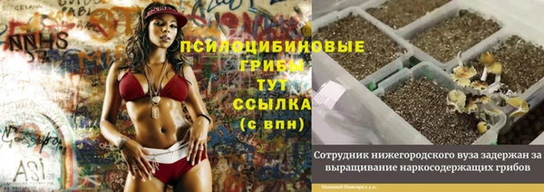 таблы Надым