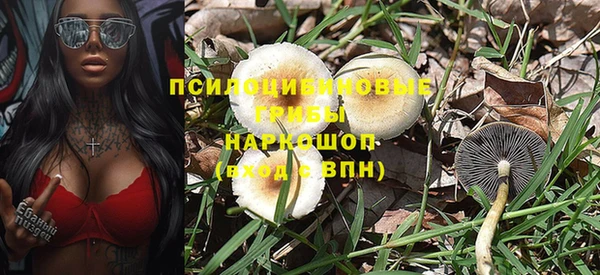 стаф Наволоки